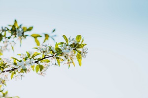 提高學(xué)習(xí)效率
