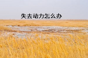 失去動力怎么辦