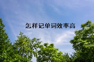 怎樣記單詞效率高