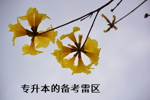 專升本的備考雷區(qū)