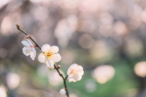 掌握復習方法