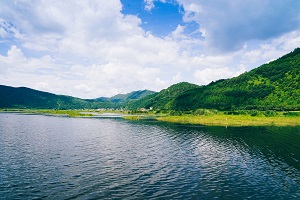 避免題海戰(zhàn)術(shù)