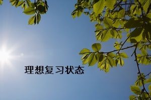 理想復(fù)習狀態(tài)