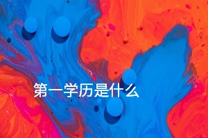 第一學(xué)歷是什么