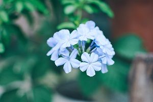 擴招后報考人數(shù)是否會激增？