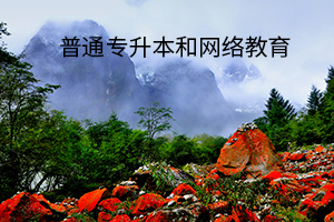 普通專(zhuān)升本和網(wǎng)絡(luò)教育