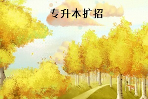 專升本擴招