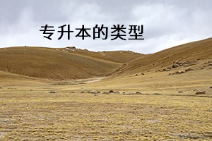 專升本的類型
