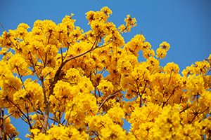 報(bào)考人數(shù)增加