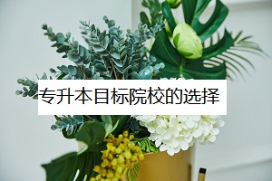專升本目標院校的選擇