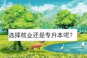 選擇就業(yè)還是專升本呢