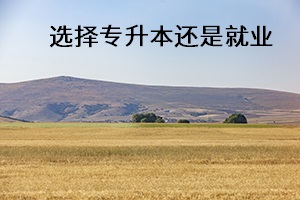 選擇專升本還是就業(yè)