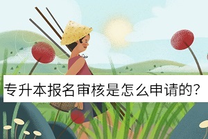 專升本報名審核是怎么申請的