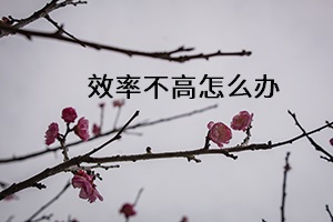 效率不高怎么辦