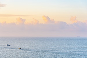 會計學(xué)專業(yè)復(fù)習(xí)技巧