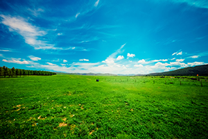 招生政策公布時間 招生政策公布時間