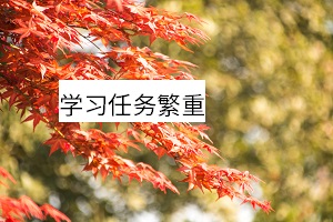 學(xué)習(xí)任務(wù)繁重 學(xué)習(xí)任務(wù)繁重