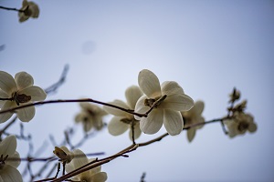 專(zhuān)升本類(lèi)型