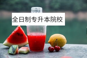 全日制專升本院校