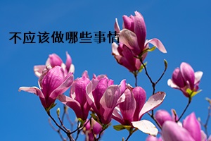 不應(yīng)該做哪些事情