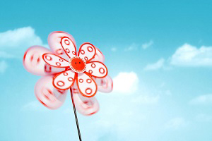 分析試卷結構 分析試卷結構