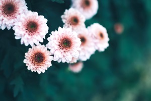 非全日制專升本的第一學(xué)歷是本科嗎？
