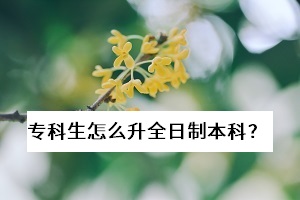 ?？粕趺瓷罩票究疲恳呀?jīng)畢業(yè)了，還能報考普通專升本考試嗎？