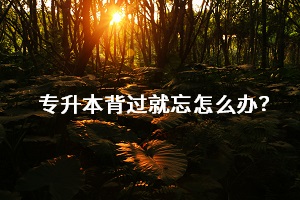 知識(shí)點(diǎn)背過就忘怎么辦？