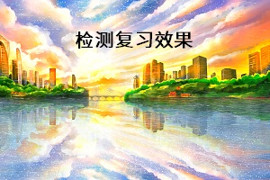 檢測(cè)復(fù)習(xí)效果