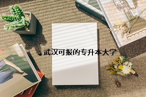 武漢可報的專升本大學
