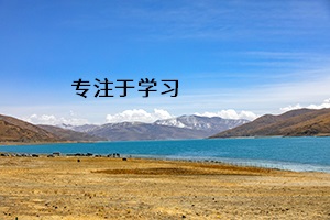 專注于學(xué)習(xí)