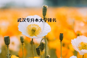 武漢專升本大學(xué)排名