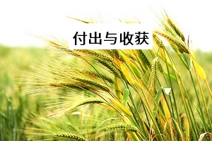 付出與收獲