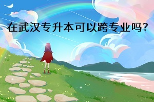 在武漢專升本可以跨專業(yè)嗎