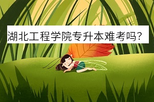 湖北工程學(xué)院專升本難考嗎