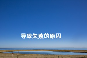 導(dǎo)致失敗的原因