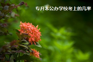 狠抓英語是關(guān)鍵