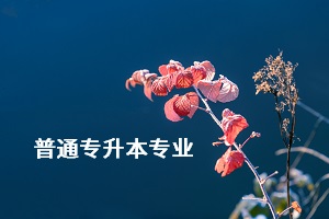 荊楚理工學(xué)院專升本的專業(yè)有哪些？專業(yè)考試難不難？