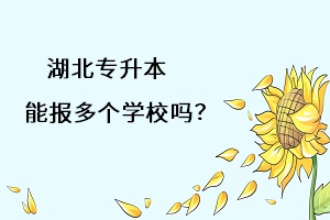 湖北專升本能報多個學(xué)習(xí)嗎？