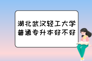 湖北武漢輕工大學普通專升本好不好？